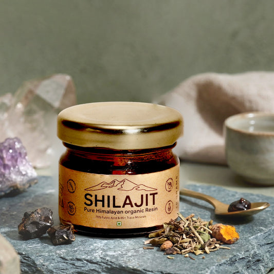 Resina premium de Shilajit del Himalaya de 30 g, potenciador de energía