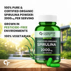 Certified Organic Spirulina Tablets 2000mg | 180 Tablets | Plant Protein, Phycocyanin, Chlorophyll & Beta Carotene | Energy, Immunity & Detox Support | Vegetarian Supplement
