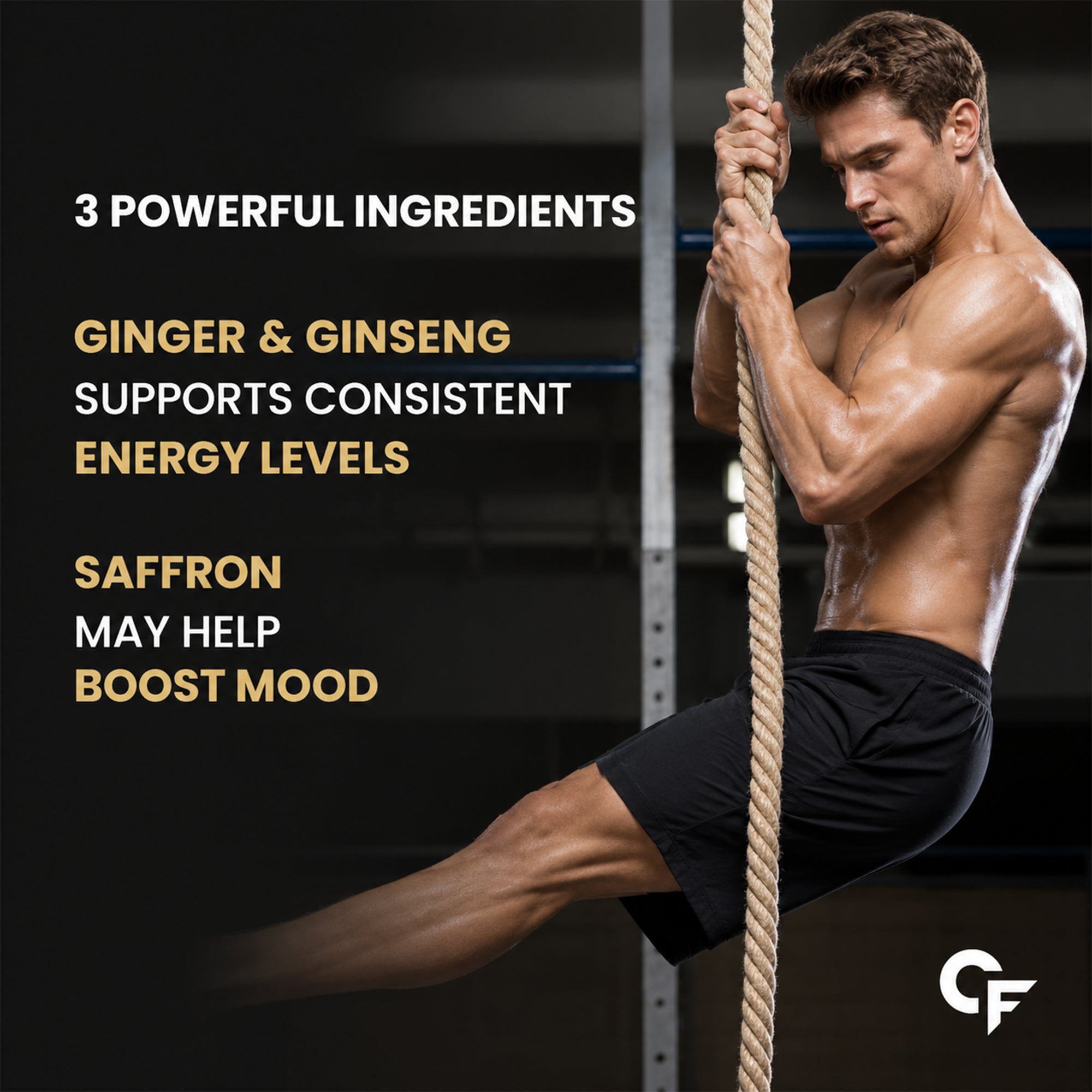 Shilajit Gummies for Men & Women | 150mg Shilajit Extract with Black Musli, Gokshura, Ginger & Saffron | Herbal Wellness Gummies | Masala Cola Flavour | 60 Gummies