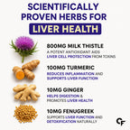 Milk Thistle Liver Support Supplement 800mg (30:1) | 80% Silymarin | Liver Detox Formula with Turmeric, Choline, Vitamins & Minerals | 120 Tablets for Men & Women