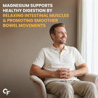 Magnesium Citrate 2400mg Tablets with 312mg Elemental Magnesium | High Absorption Magnesium Supplement for Muscle, Energy & Digestion Support | 120 Tablets