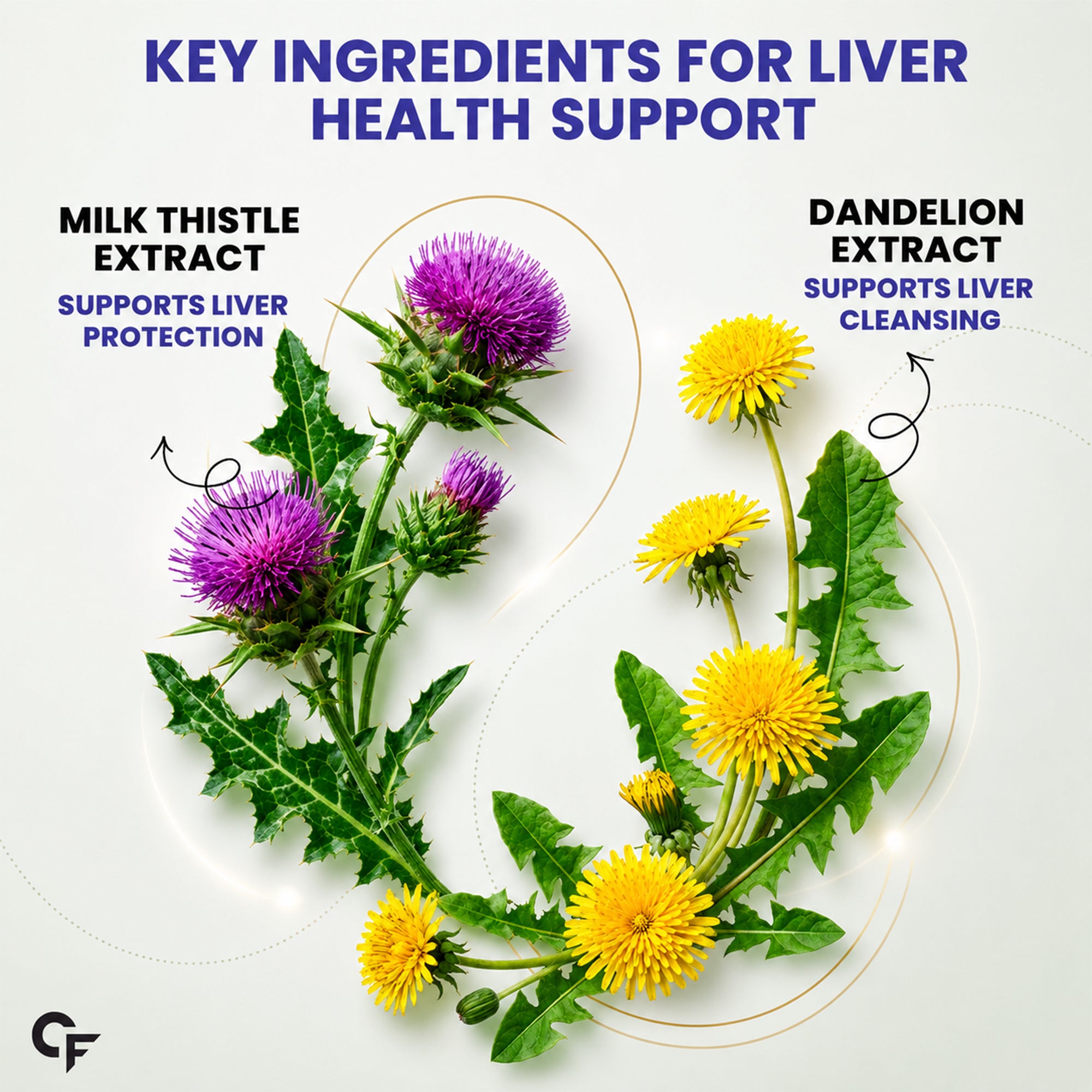 Milk Thistle 500mg with NAC, Dandelion & Vitamin C | Liver Support Supplement | 80% Flavonoids | Antioxidant & Digestive Health | 60 Tablets