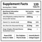 Vitamin C Tablets with Amla Extract 1000mg & Zinc | Natural Immune Support Supplement for Skin, Collagen & Wellness | 120 Tablets