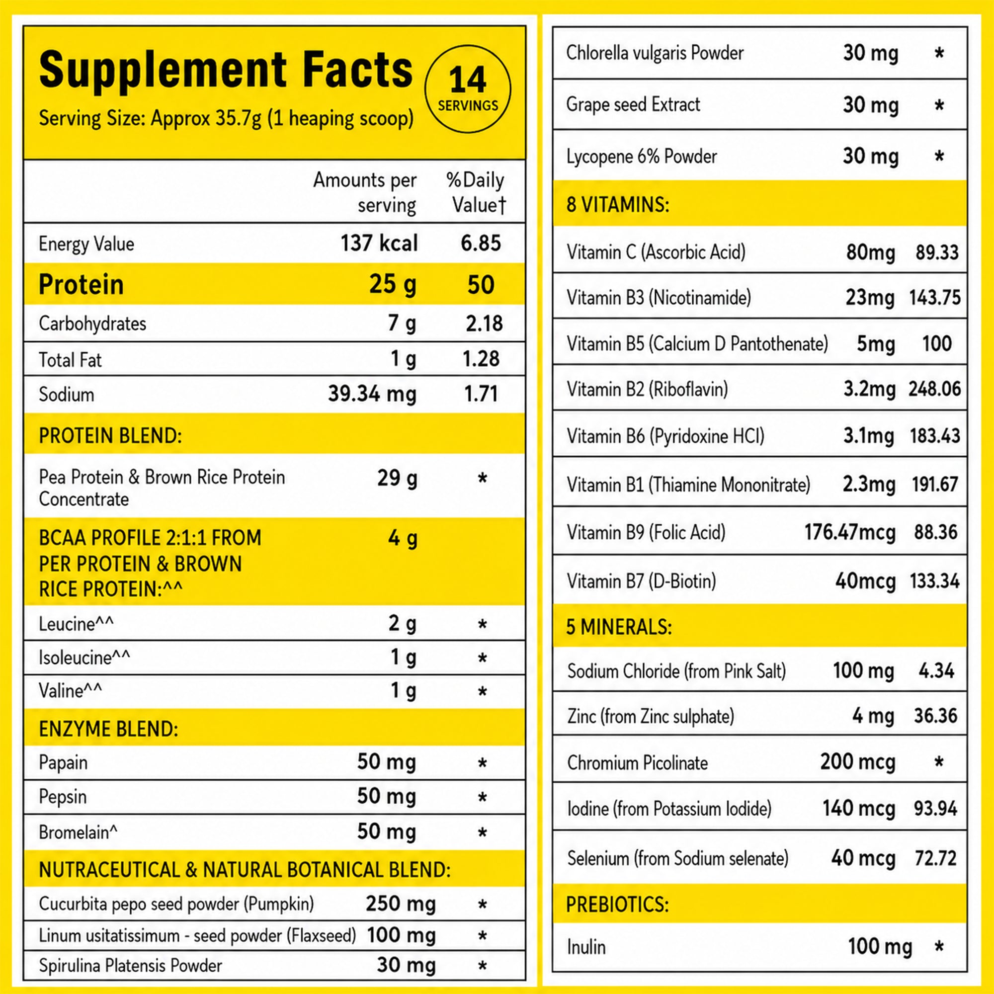 Vegan Plant Protein Powder 500g - 25g Plant Protein, 4g BCAA, 13 Vitamins & Minerals, Digestive Enzymes, Zero Added Sugar | Alphonso Mango