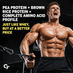 Vegan Plant Protein Powder 500g - 25g Plant Protein, 4g BCAA, 13 Vitamins & Minerals, Digestive Enzymes, Zero Added Sugar | Alphonso Mango