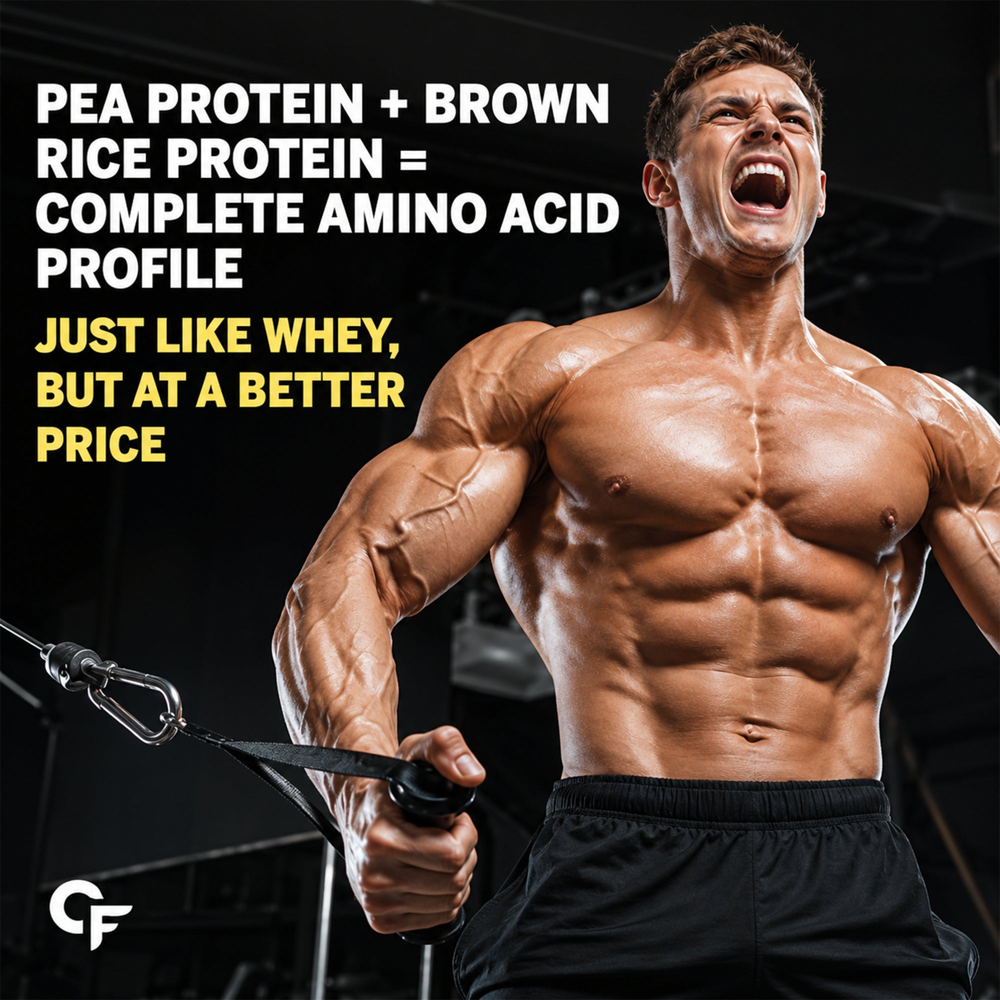 Vegan Plant Protein Powder 500g - 25g Plant Protein, 4g BCAA, 13 Vitamins & Minerals, Digestive Enzymes, Zero Added Sugar | Alphonso Mango