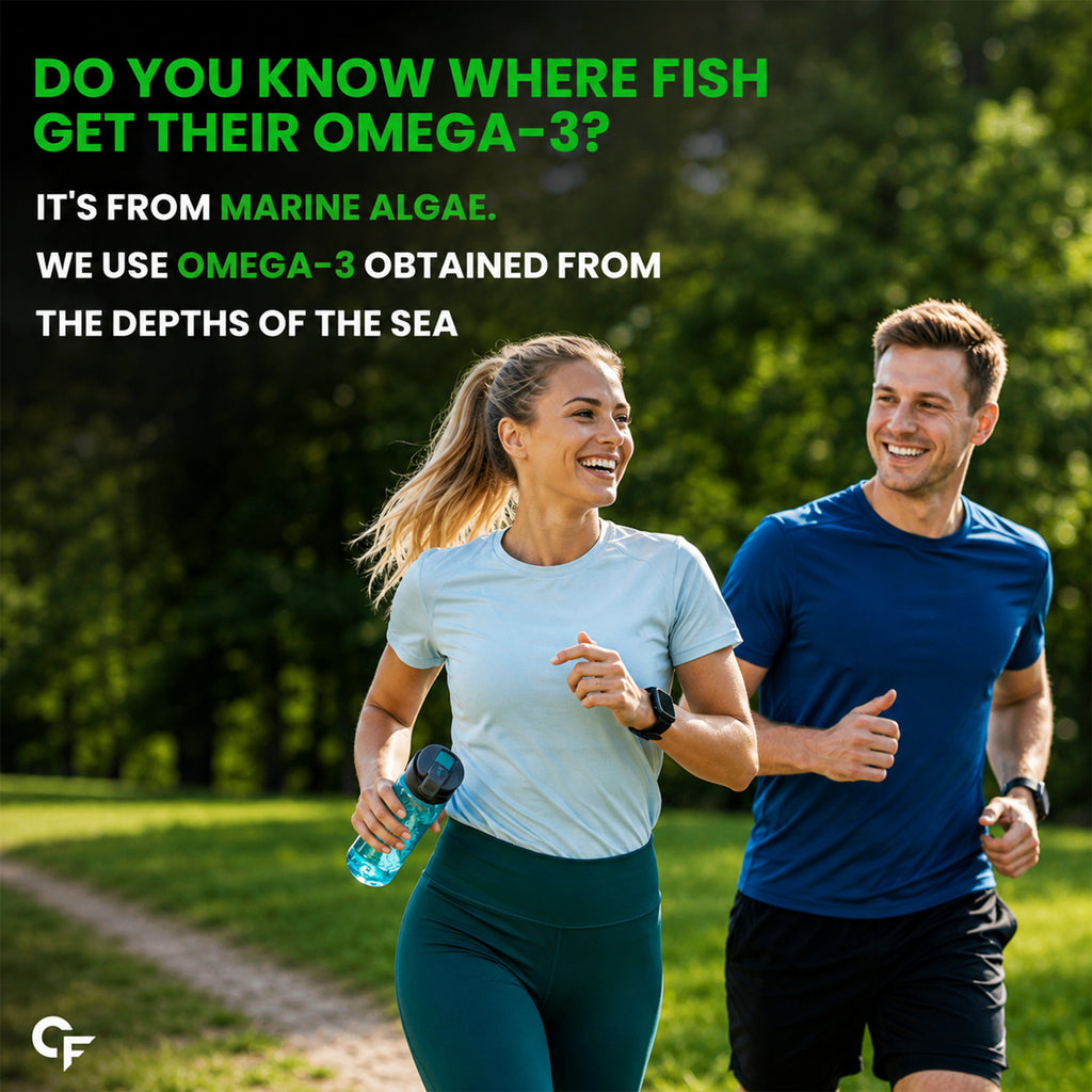 Vegetarian Omega 3 Algal DHA 1000mg Capsules | Plant-Based Fish Oil Alternative for Brain, Heart & Joint Support | Vegan Omega-3 Supplement | 60 Capsules