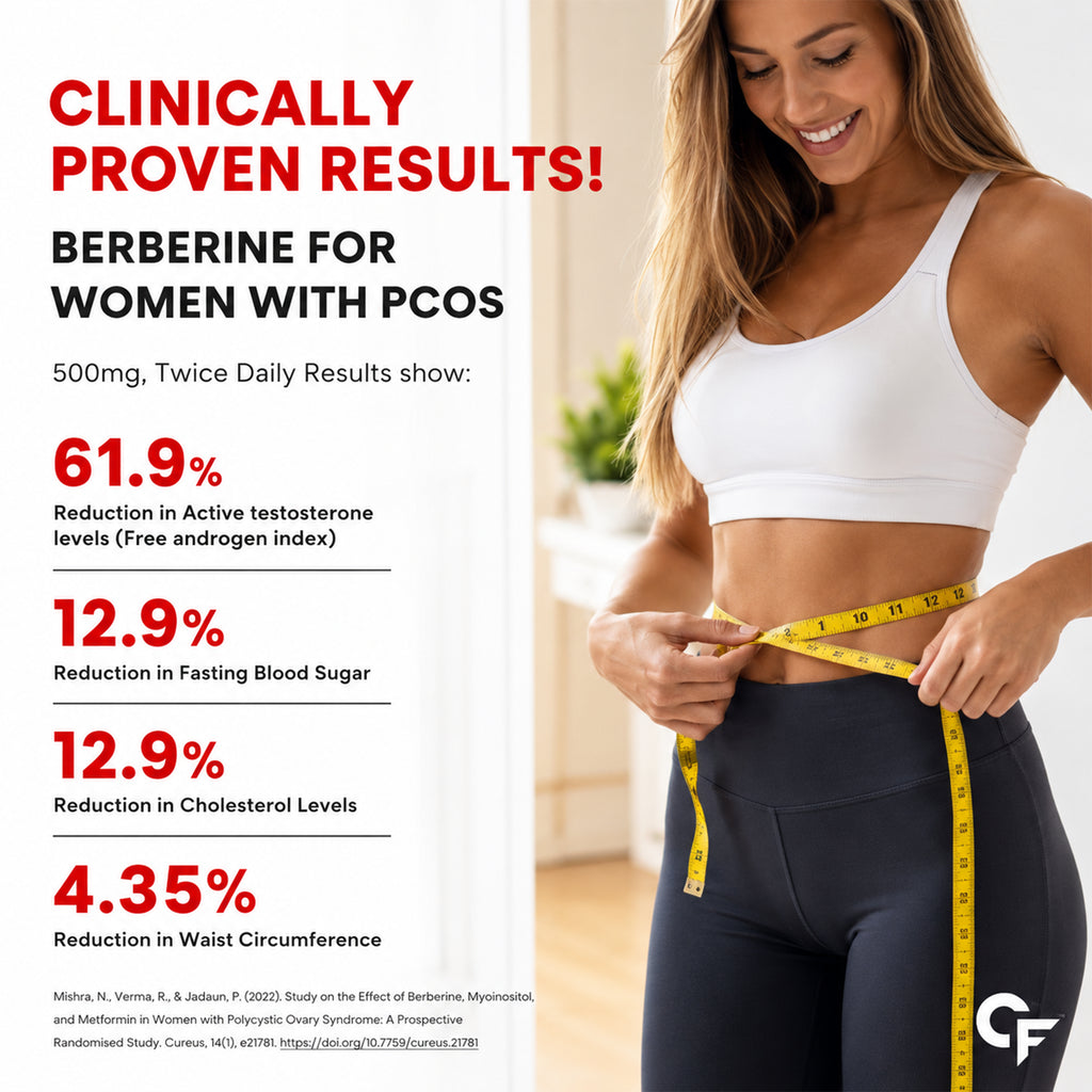 Berberine 95% 500mg with Milk Thistle & Cinnamon | 60 Vegetarian Capsules | Metabolism, Digestion & Immune Support Supplement