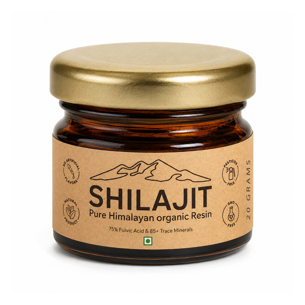 Résine de Shilajit de l'Himalaya 20g Soutien à la Force et à la Vitalité