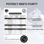 Ayuspirit Himalayan Shilajit Resin certificate of analysis Lilaba Laboratory ISO 17025 showing 76.2% fulvic acid 12.08% humic acid heavy metals free lab tested for quality and safety